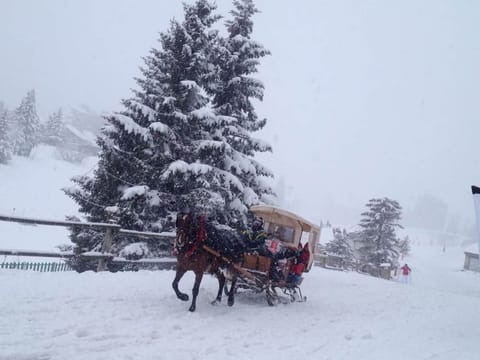 Snow and ski sports