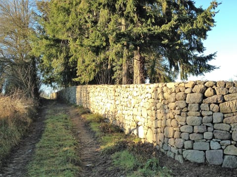 The old wall around the Domain