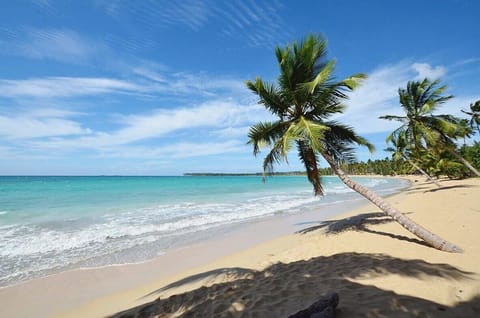 Beach nearby, sun loungers, beach towels