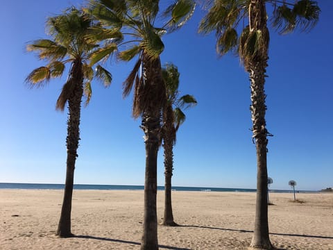 On the beach