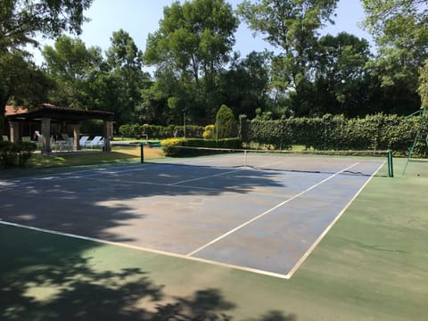 Sport court