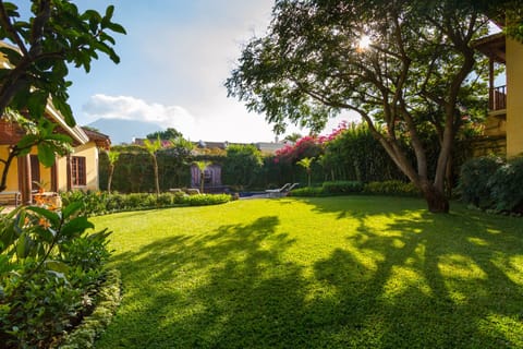 Expansive, beautifully landscaped back garden with plenty of space.