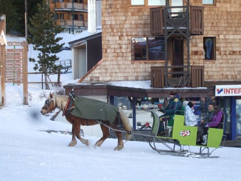 Snow and ski sports