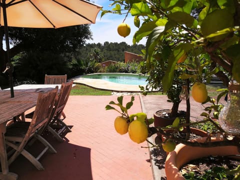 View from the kitchen.