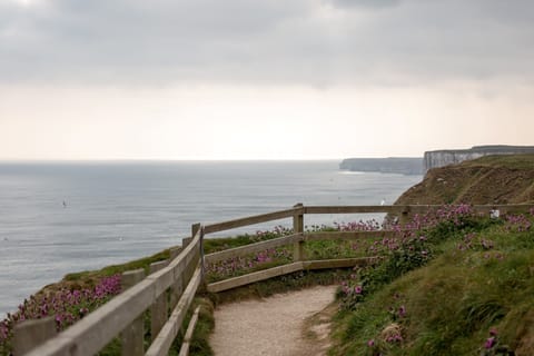 RSPB Bempton Cliffs - 1/2 million seabird (inc. puffins) gather here Mar - Oct.