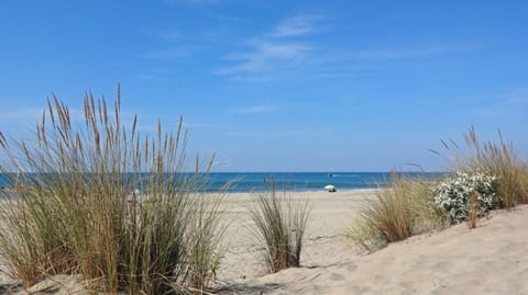 Beach nearby, sun loungers