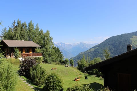 View from Chalet Summer