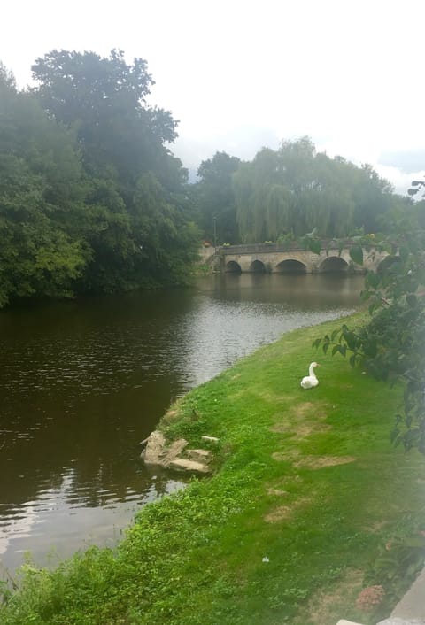 View from the terrace 