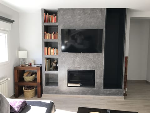 Smart TV, fireplace, books