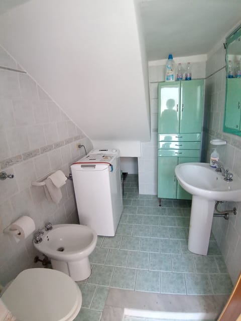 Combined shower/tub, hair dryer, bidet, soap