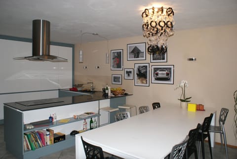 kitchen equipped with oven, microwave, dishwasher, induction cooker 