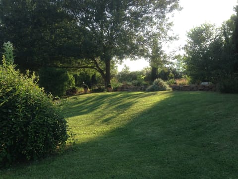 Garden view from pool