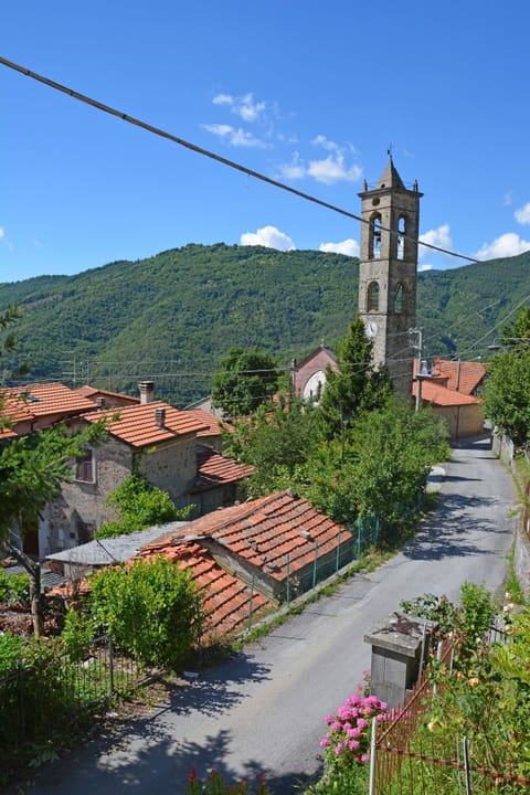 View From the front of the house