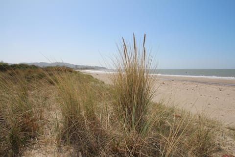 The wild sandbeach in
2 min walk