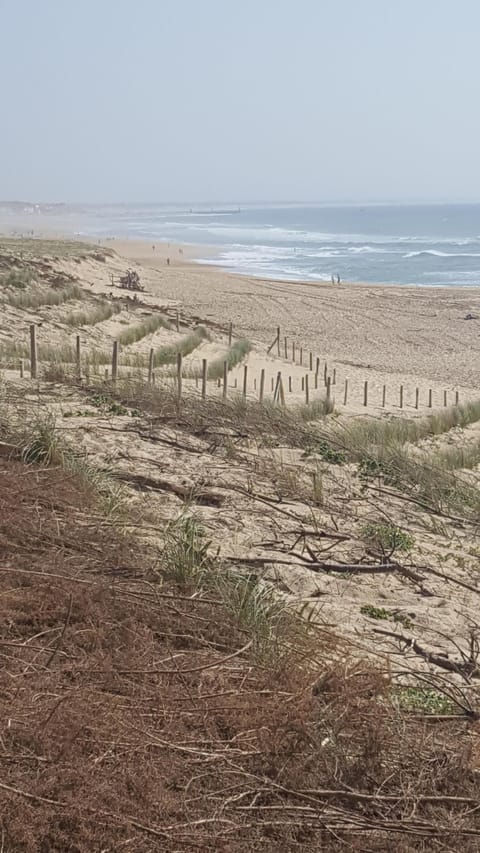 Beach nearby, sun loungers