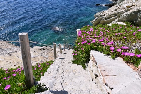 Sun loungers