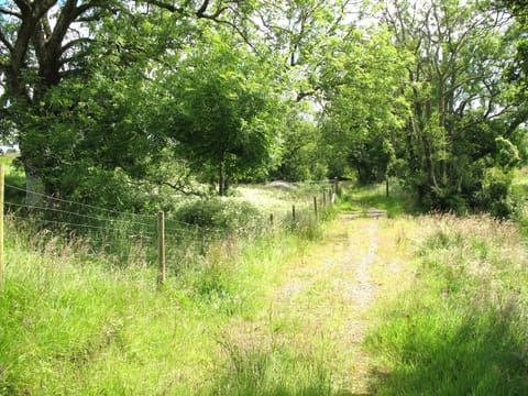 footpath opposite cottage