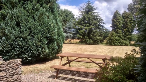 rear garden and bbq area