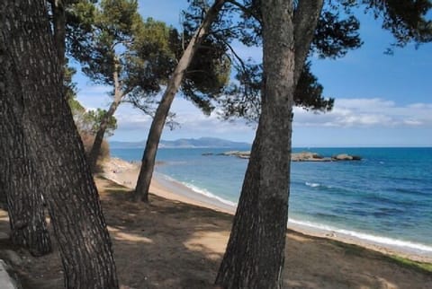 Sun loungers, beach towels