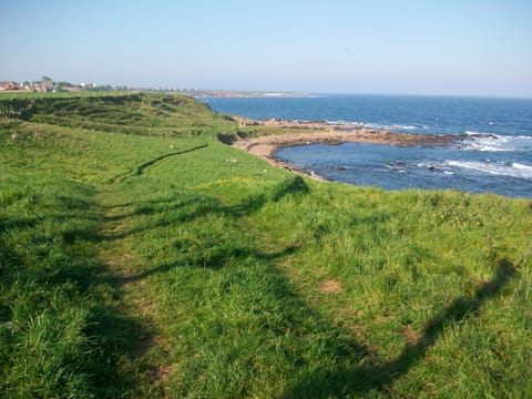 Typical scenery along the Fife coastal walk