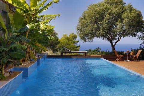 Waterfalls & plants in our pool