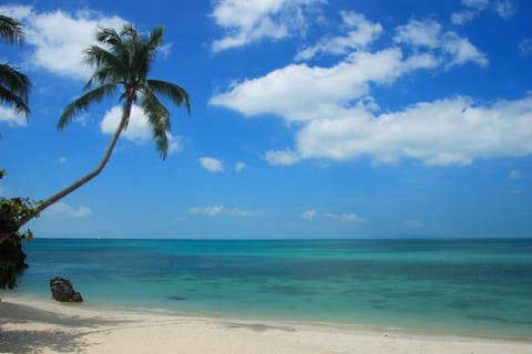 On the beach, sun loungers, beach towels