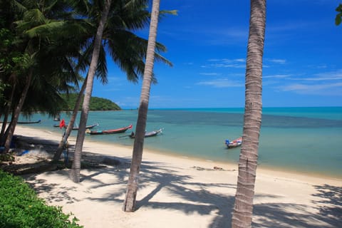 On the beach, sun loungers