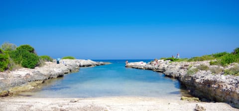 Beach nearby, sun loungers