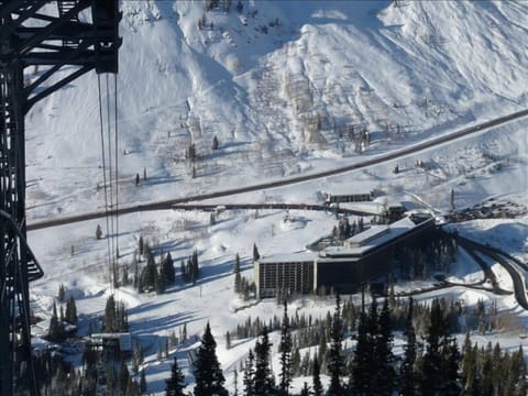 Snowbird Cliff Club Au Cliff Lodge - Ski In / Ski Out | Snowbird, UT ...