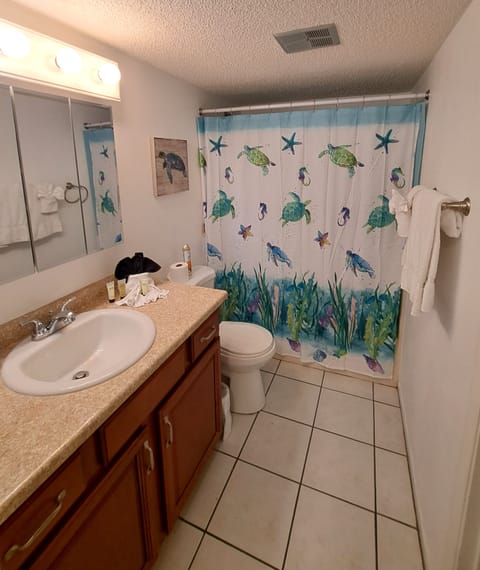 Combined shower/tub, hair dryer, towels