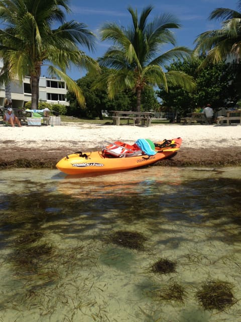 Sun loungers