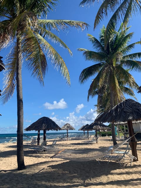 Beach | On the beach, sun loungers, beach towels