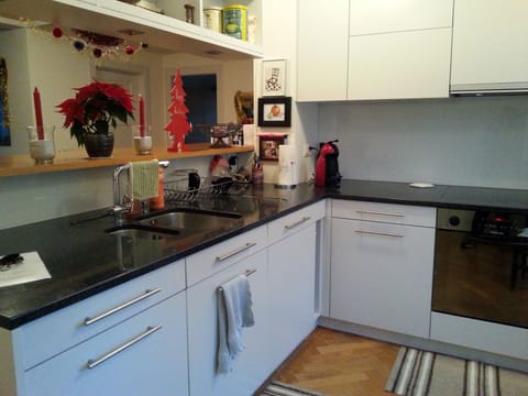 modern kitchen with dishwasher, ceramic glass stove, oven, Fridge, laundry room