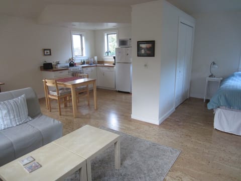 Two closets divide bedroom from kitchen area.