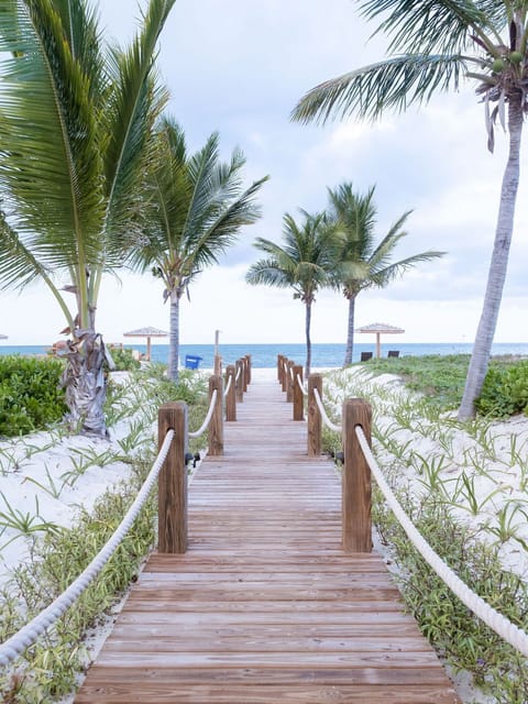 On the beach, sun loungers, beach towels