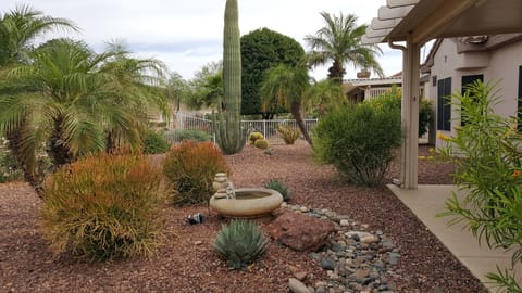 Enjoy the palms, cactus, fruit trees and  other pretty plants in the back yard