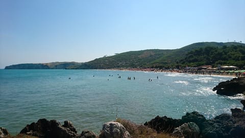 Beach nearby, sun loungers