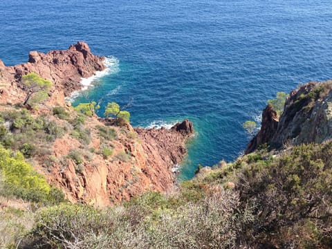 Beach nearby, sun loungers