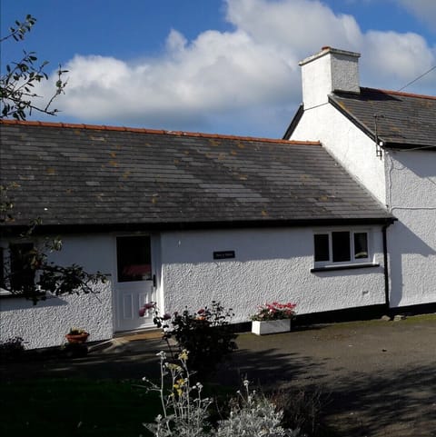 Pen y Banc, 07813250614