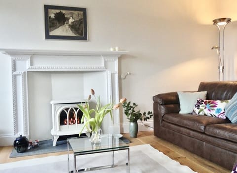 Gas firebox for wintry evenings