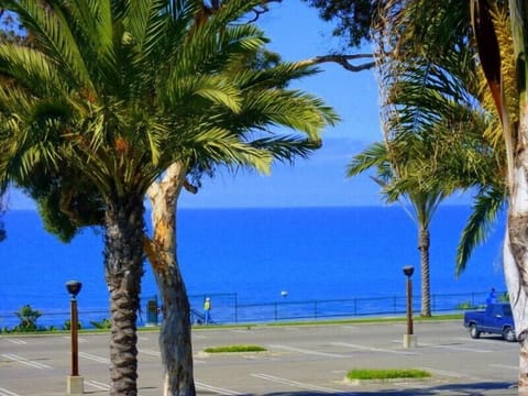 Across from the complex is ocean view.