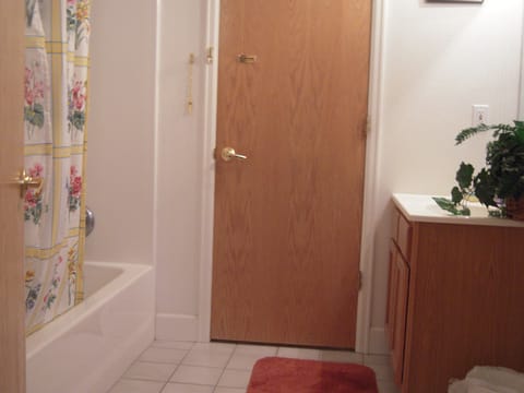 Combined shower/tub, hair dryer, towels, soap