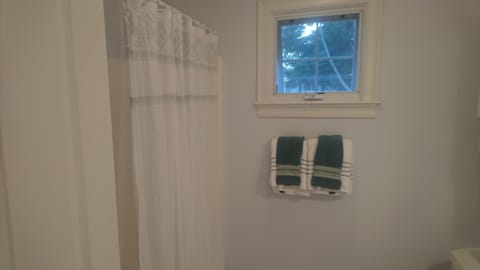 Combined shower/tub, hair dryer, towels