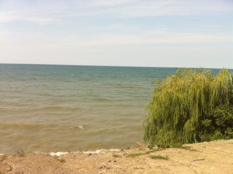 On the beach