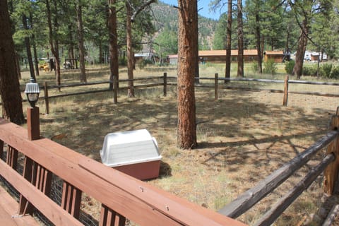 outdoor space for your dog