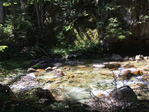 Natural streams and mountain peaks all easily accessible to hike