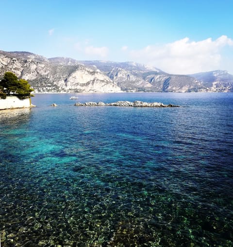 Nice walk on Promenade Rouvier