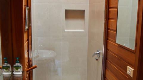 Shower, jetted tub