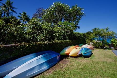 Sun loungers, beach towels