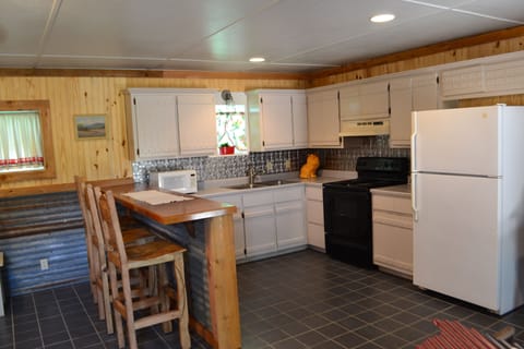 Kitchen and dining area